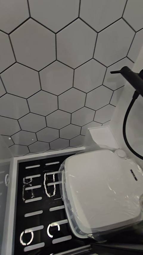 flagship hex shower toilet b