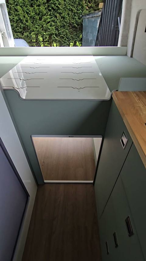 salvia galley down view